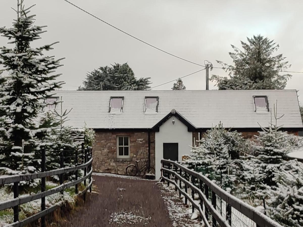 The Old House At Belfield Villa Tralee Eksteriør bilde