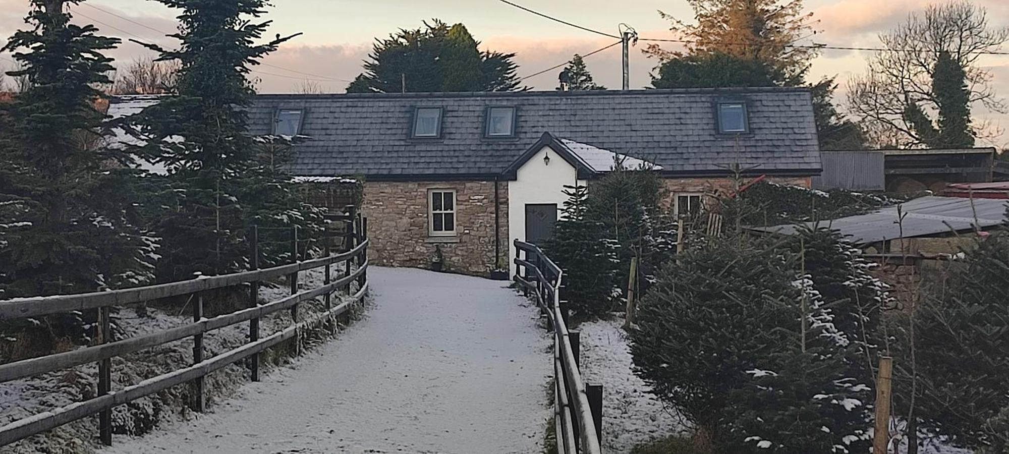 The Old House At Belfield Villa Tralee Eksteriør bilde